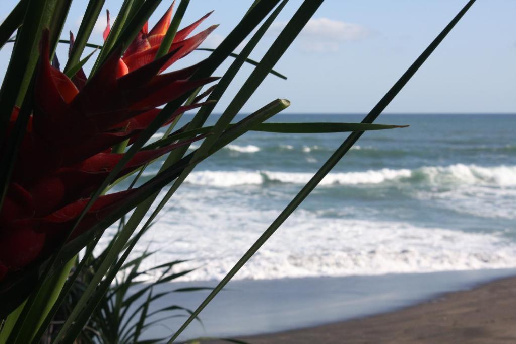 Sejuk Beach Villas Canggu Δωμάτιο φωτογραφία